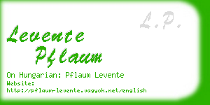 levente pflaum business card